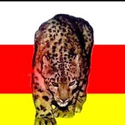александр  коваленко on My World.
