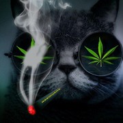 cool boy on My World.