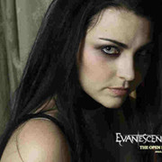 Evanescence группа в Моем Мире.