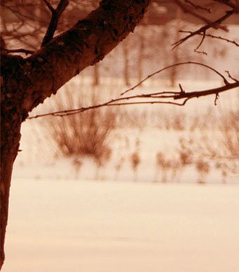 Five Elements Music