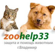 Зоохелп33 - помощь бездомным животным во Владимире группа в Моем Мире.