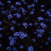 Полина Демичева on My World.