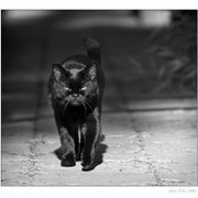 Максим Зимин on My World.