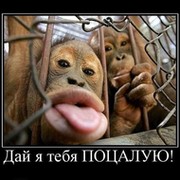 Александр сашок on My World.