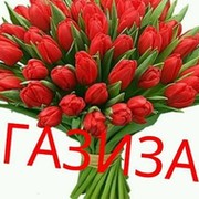Газиза Елбасыкызы on My World.