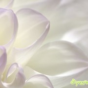 Айгуль Сахиева on My World.