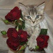 Александр *** on My World.