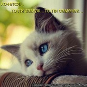 Элла Андерсон on My World.