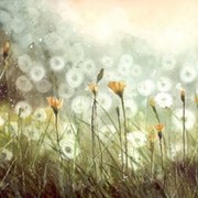 Анна Смирнова on My World.