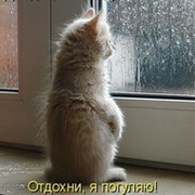 Виктор Баранов on My World.