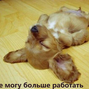 Ринат Булатбеков on My World.