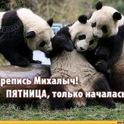 Андрей Кожевников on My World.