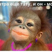 Елена Т on My World.