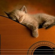 Анатолий Филяев on My World.