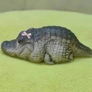 Наталия  @@@@@клондайк on My World.