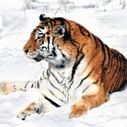 Ю И on My World.