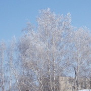 Иван Левин on My World.