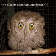 Яник Маршал on My World.