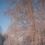 Хакимова Юлия on My World.