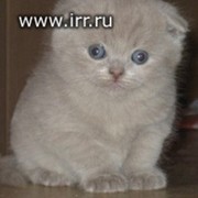 оля карандасова on My World.