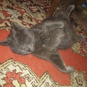 Валерий Кот on My World.