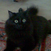 Ирина Котц on My World.
