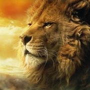 костя масть on My World.