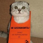 Дмитрий Трясин on My World.