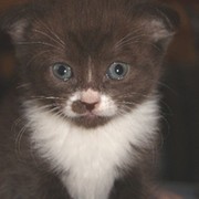 *Ната * on My World.