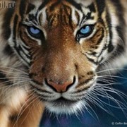 Виктория Олейникова on My World.