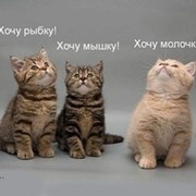 Edward Matevosyan on My World.