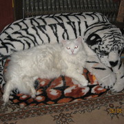 Ольга Степанова on My World.