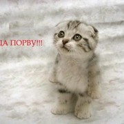 Руслан Гареев on My World.
