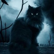 Рустем _Галимов_ on My World.
