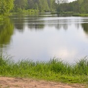 александр шашин on My World.