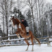 Александр Скаршевский on My World.