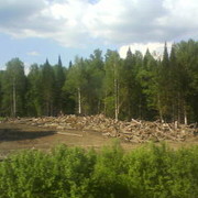 илья илья on My World.