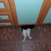 ИРИНА ТОБОЛОВА on My World.
