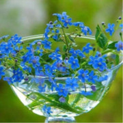 ЛЮДМИЛА TЛЕБЗУ-ОКУНЕВА on My World.