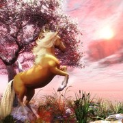 Валентин Брюховецкий on My World.