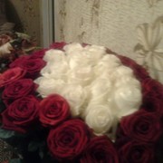 Rozi ******* on My World.