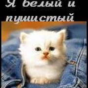 Джон ru. (Жданов) on My World.