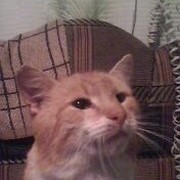 Евгений Медведев on My World.